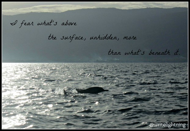 writelightning.dolphin