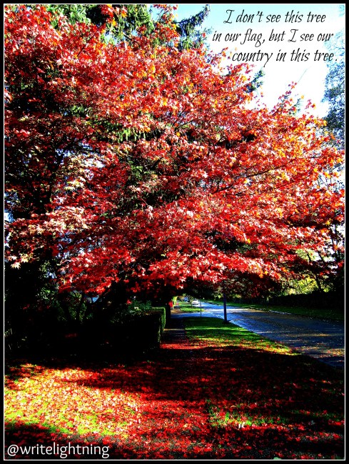 writelightning.maple